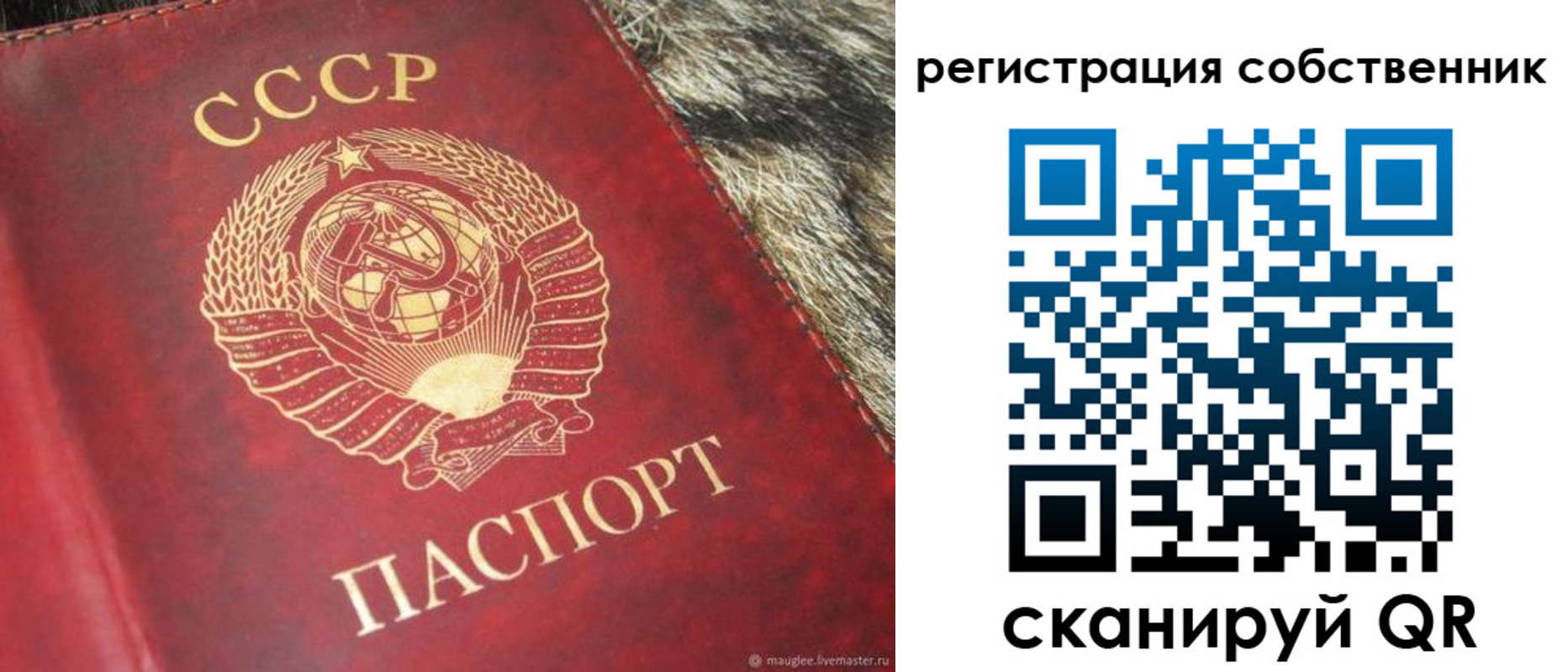 временная регистрация надежно в Калтане